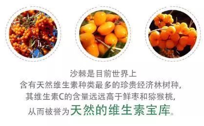 沙棘植物力量来袭,美白、抗衰、祛痘……(图3)