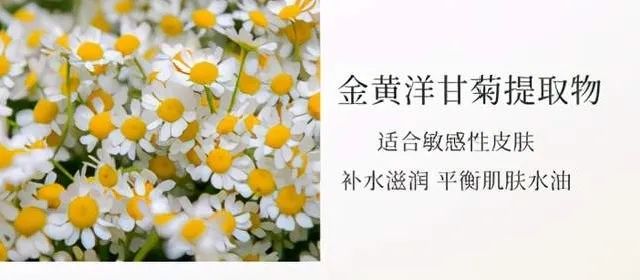 植树®|澳洲茶树精油祛痘控油套盒 油痘星人的种草来咯~(图10)