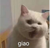 猫爪嘭弹果冻手工皂|超温和解压的洁面皂(图4)