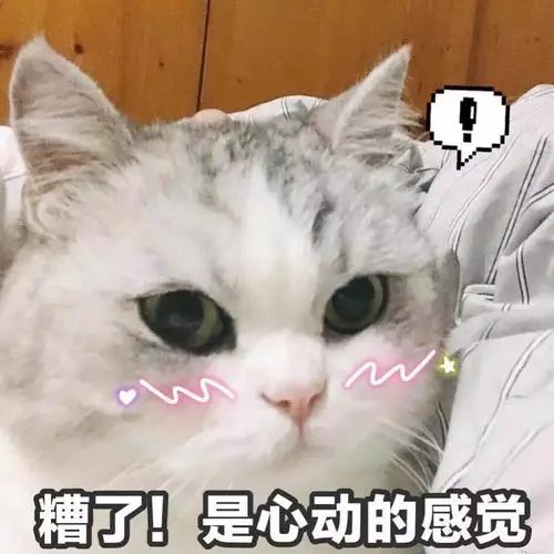 养颜贵妇膏|集美白护肤和素颜霜一体的面霜(图9)