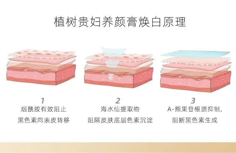 养颜贵妇膏|集美白护肤和素颜霜一体的面霜(图8)