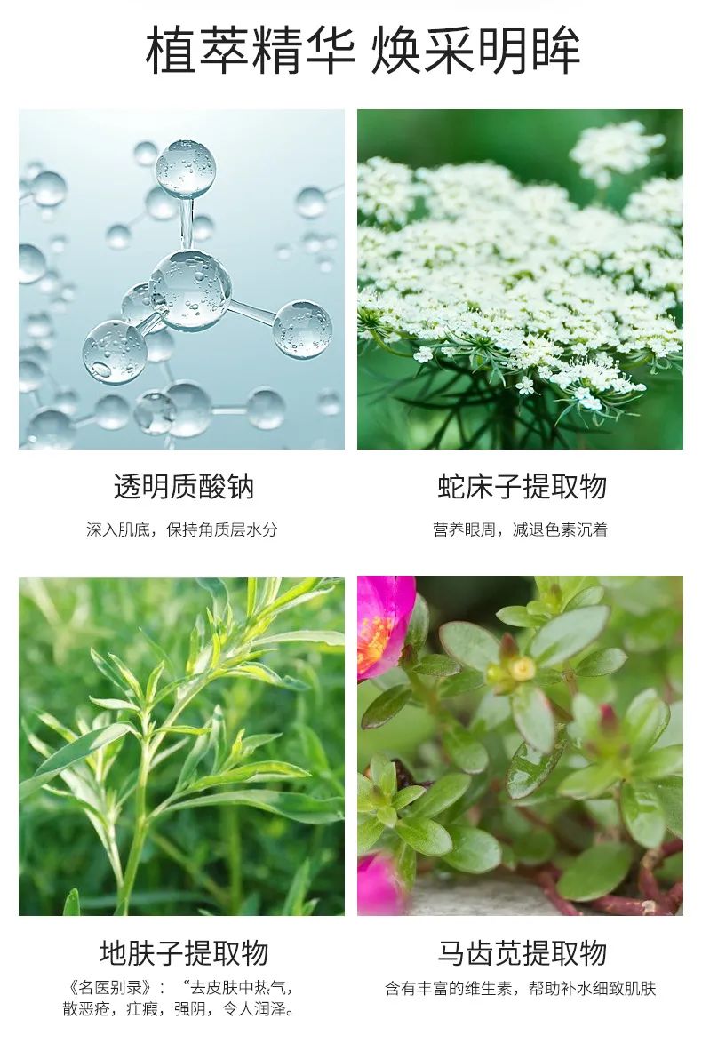 海藻眼膜_05.jpg