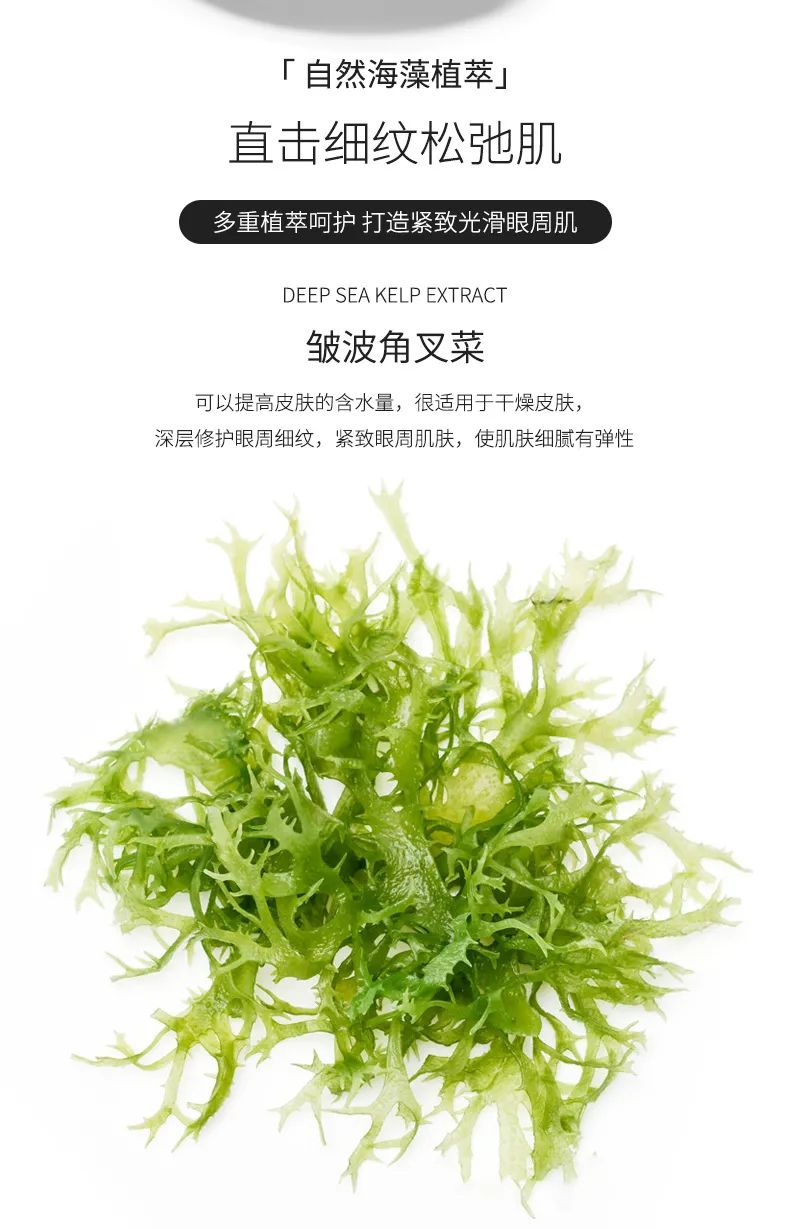 海藻眼膜_04.jpg