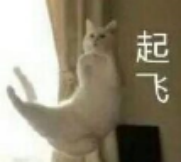 image.png 图片