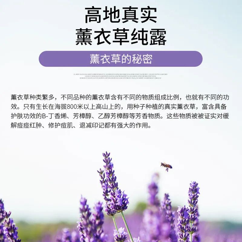 主图3.jpg 图片