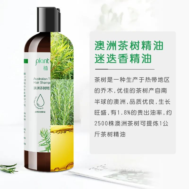 4.jpg 图片