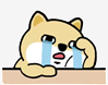 1211.png 图片