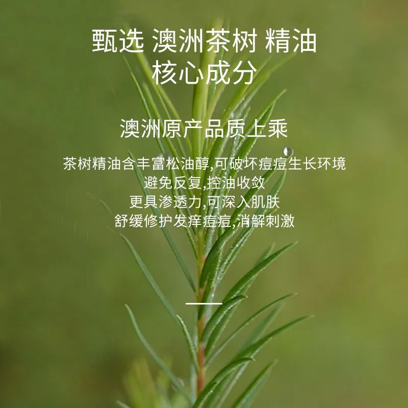 5.jpg 图片