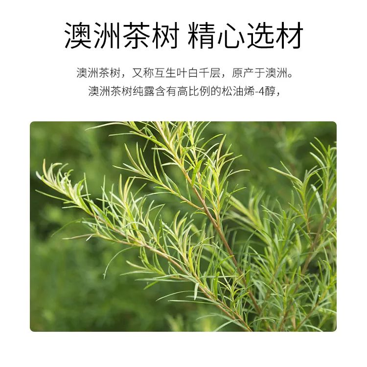 4.jpg 图片