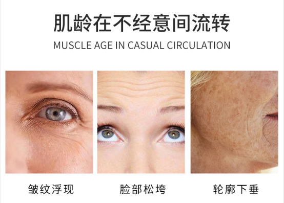 image.png 图片