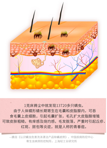 图片1.png 图片