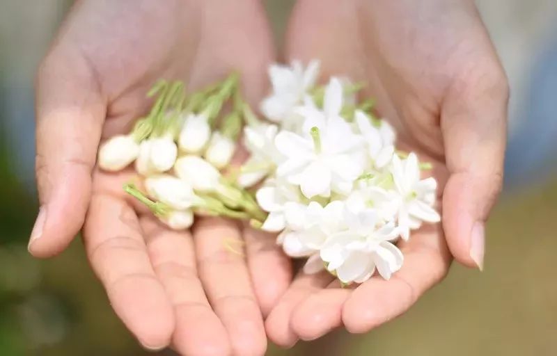 天然雕饰美,10大纯露哪款是你心头爱?(图7)