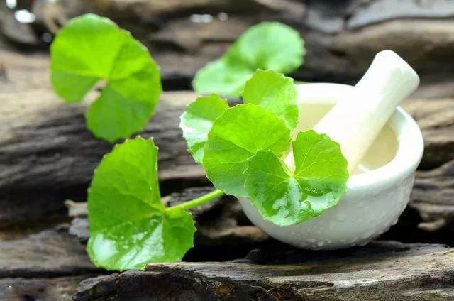 天然雕饰美,10大纯露哪款是你心头爱?(图9)